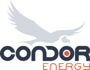 Condor Energy Services Logo